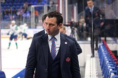 Главный тренер СКА Ростов-на-Дону прокомментировал прозвучавшие оскорбления